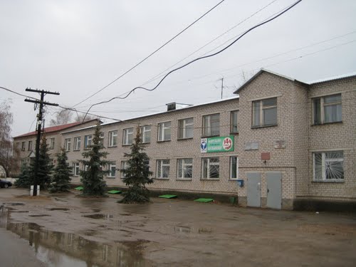 Самарский медицинский колледж им. Н. Ляпиной — филиал в с. Борское